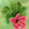 �W"�·G"�Үɪ��@�~(�h�~12��~).......