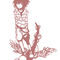 �Ӫ��P��