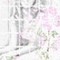 ���N�B���e�B�]�p