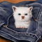 �W�Үɪ��@�~(�h�~10��~).......