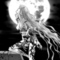 �l�尭�����]����G�p������