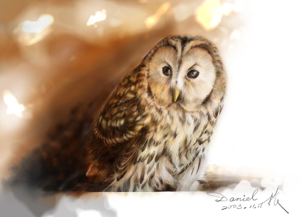 Owls' Fair：以前幫朋友展覽充場面衝人氣而畫的作品，同樣是sketch後再至photoshop color, deta