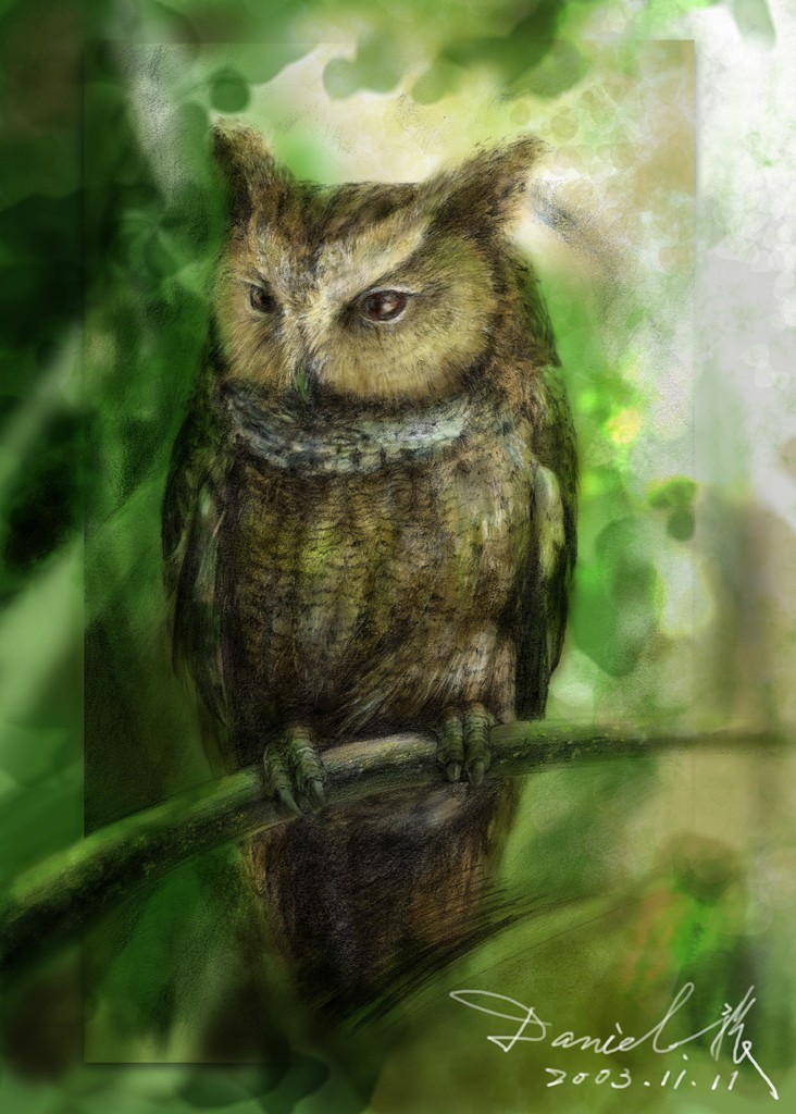 Owls' Fair：以前幫朋友展覽充場面衝人氣而畫的作品，同樣是sketch後再至photoshop color, deta