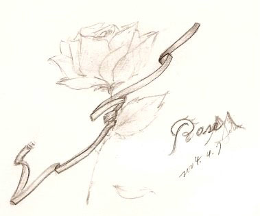 玫瑰隨筆 ：也是四年前左右的圖, 算是隨筆吧, 因為想試試看畫花, 結果就是醬~