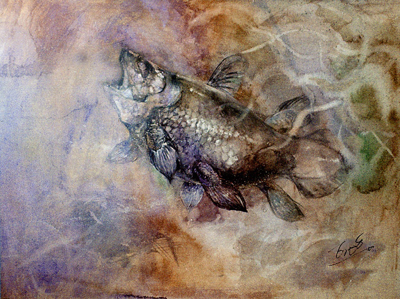 這張魚歷史比較久遠，是1996年剛移民到阿根廷時用水彩手繪的。