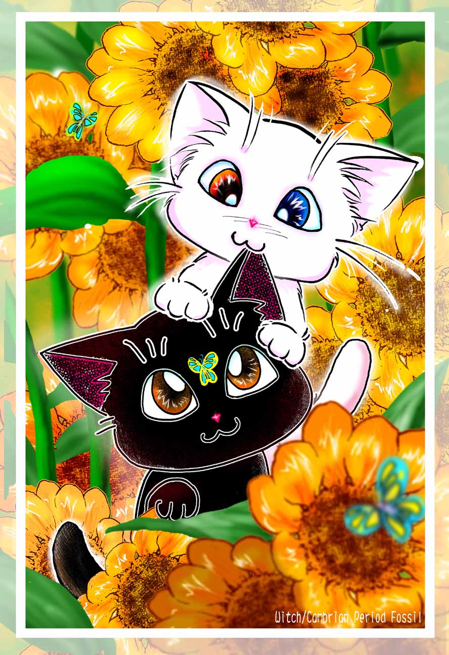 Niki 與Kuma：我喜歡黑白貓咪，我喜歡向日葵，我喜歡蝴蝶…..所以通通放一起!!(彩色信紙) 