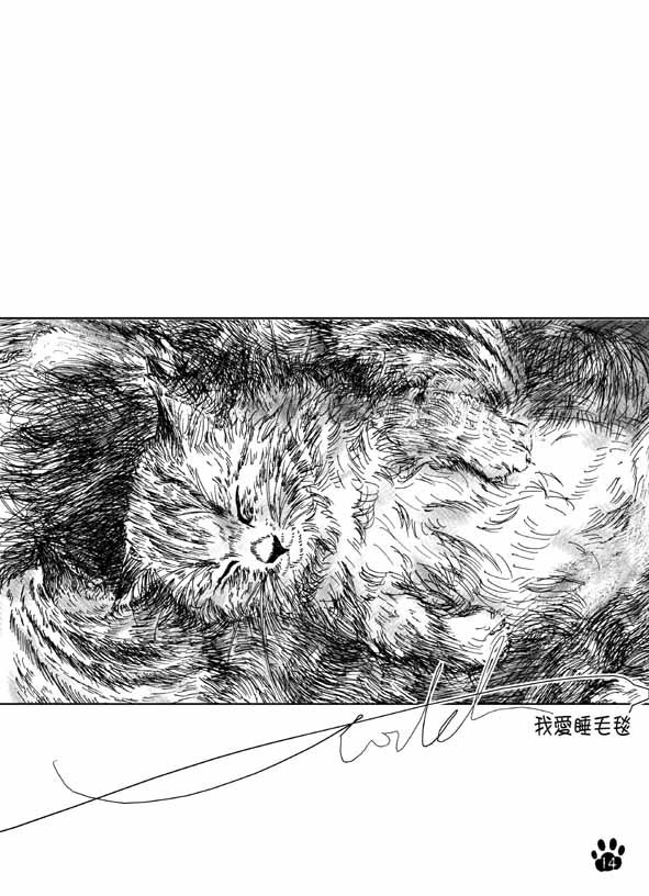貓貓本Vol2-p14 :我愛睡毛毯