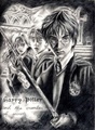 harry_potter_and_the_cramber_of_secrets_jpg